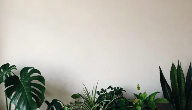 应用开发选型关注点，如何避免技术选型失误